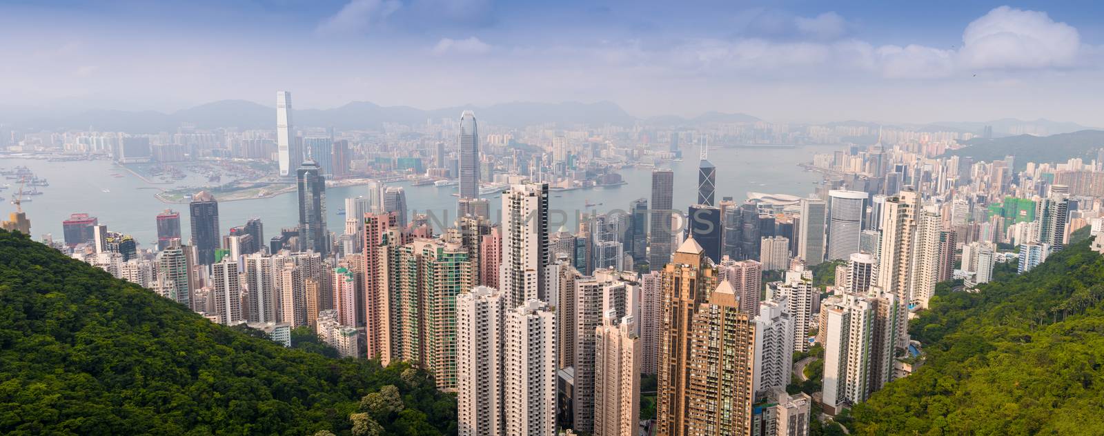 Panoramic view of Hong Kong cityscape on a beautiful sunny day by jovannig