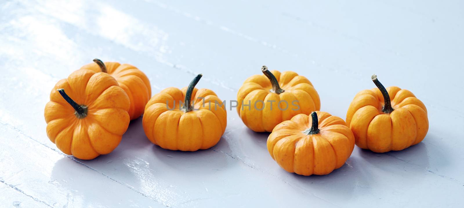 Lots of small pumpkins on a white surface
