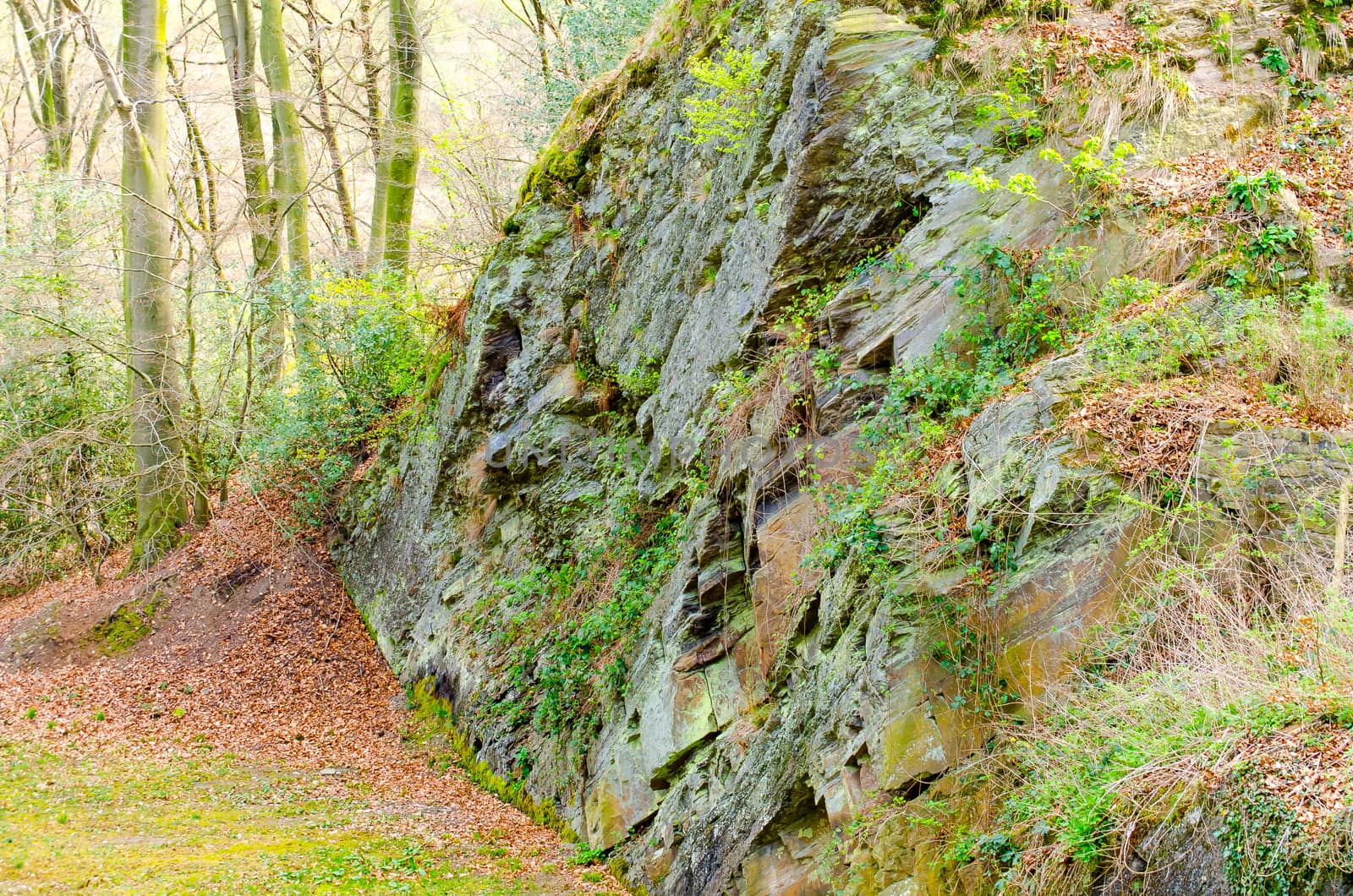 Steep cliffs, rocky slope with moss in the forest
