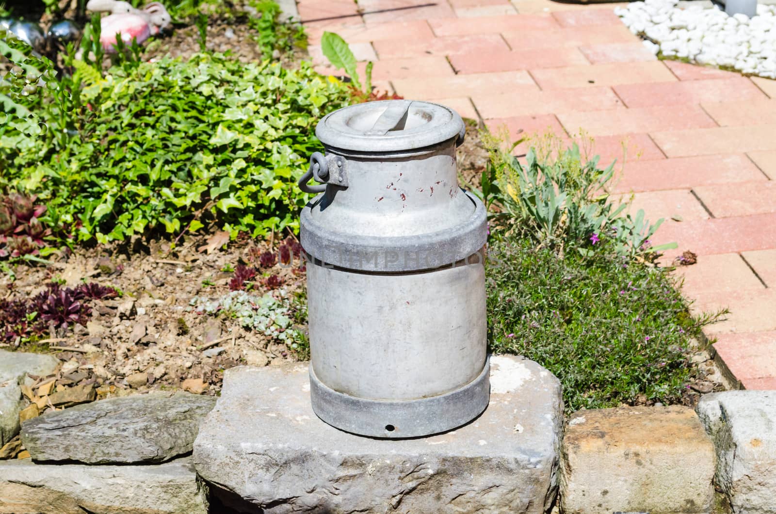 Rustic milk jug on a dry stone wall in the garden.
