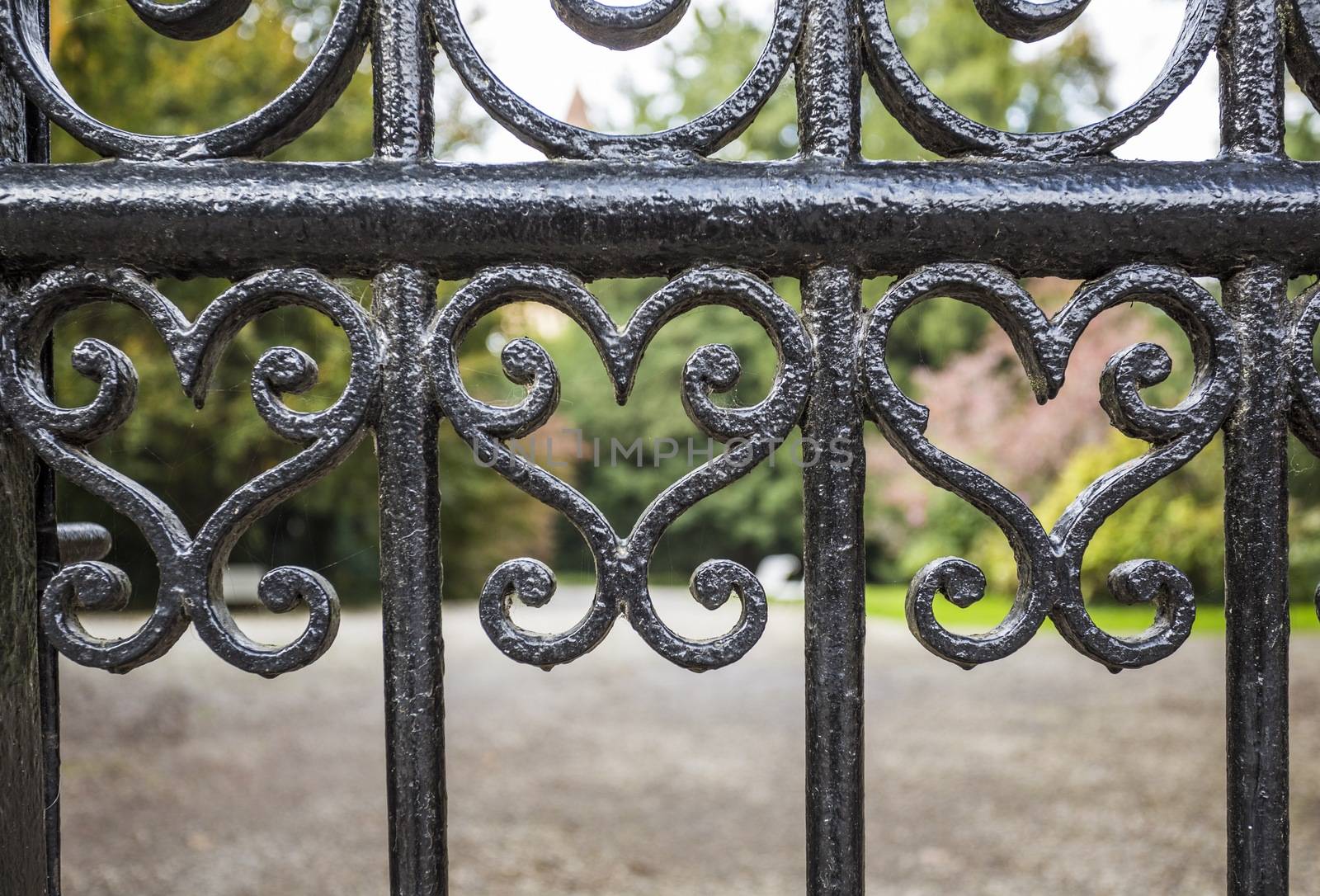 Picture of a metal gate with heart shapes
