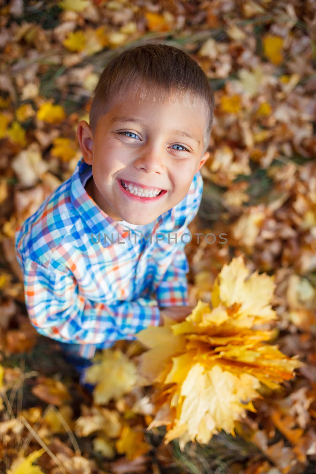 Cute boy with autumn leaves by maxoliki
