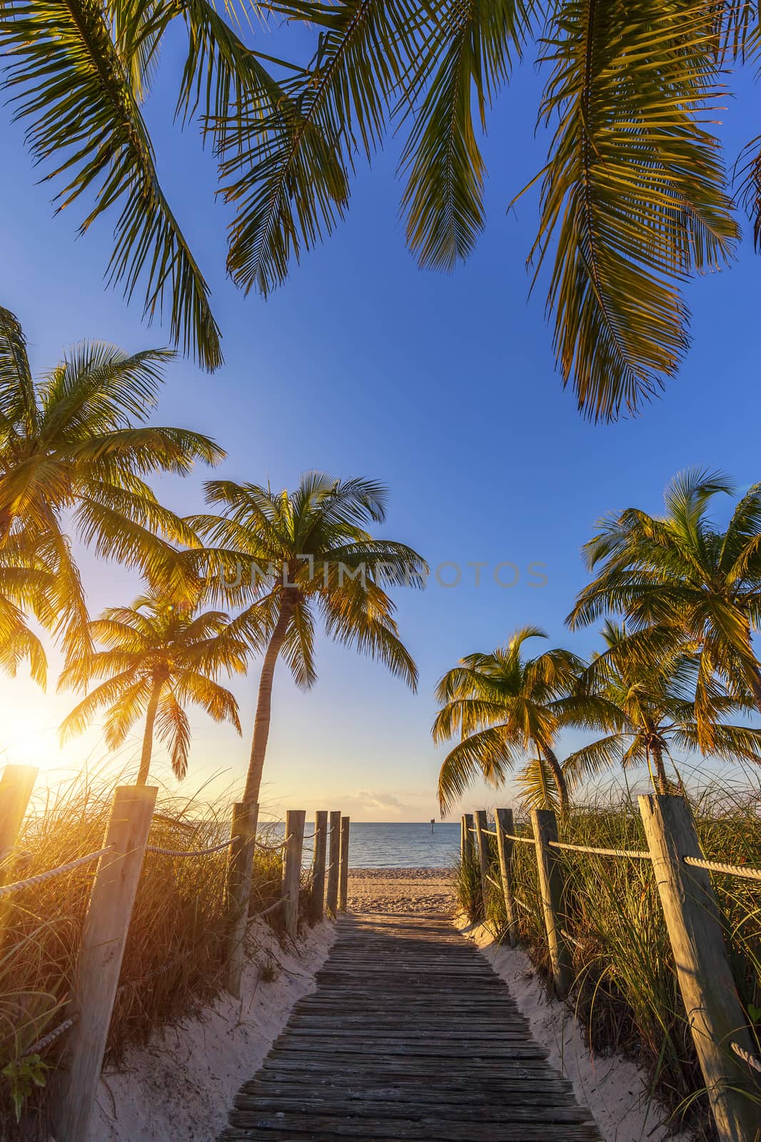 View of passage to the beach at sunrise- Key West, USA