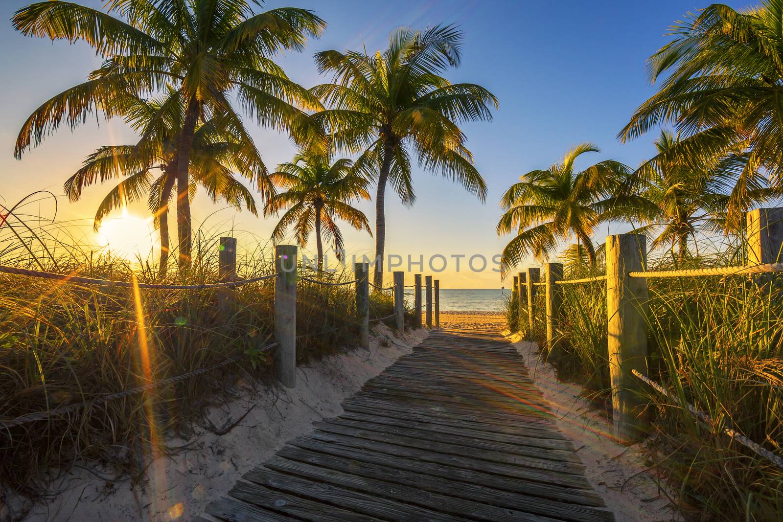 Passage to the beach at sunrise- Key West, USA
