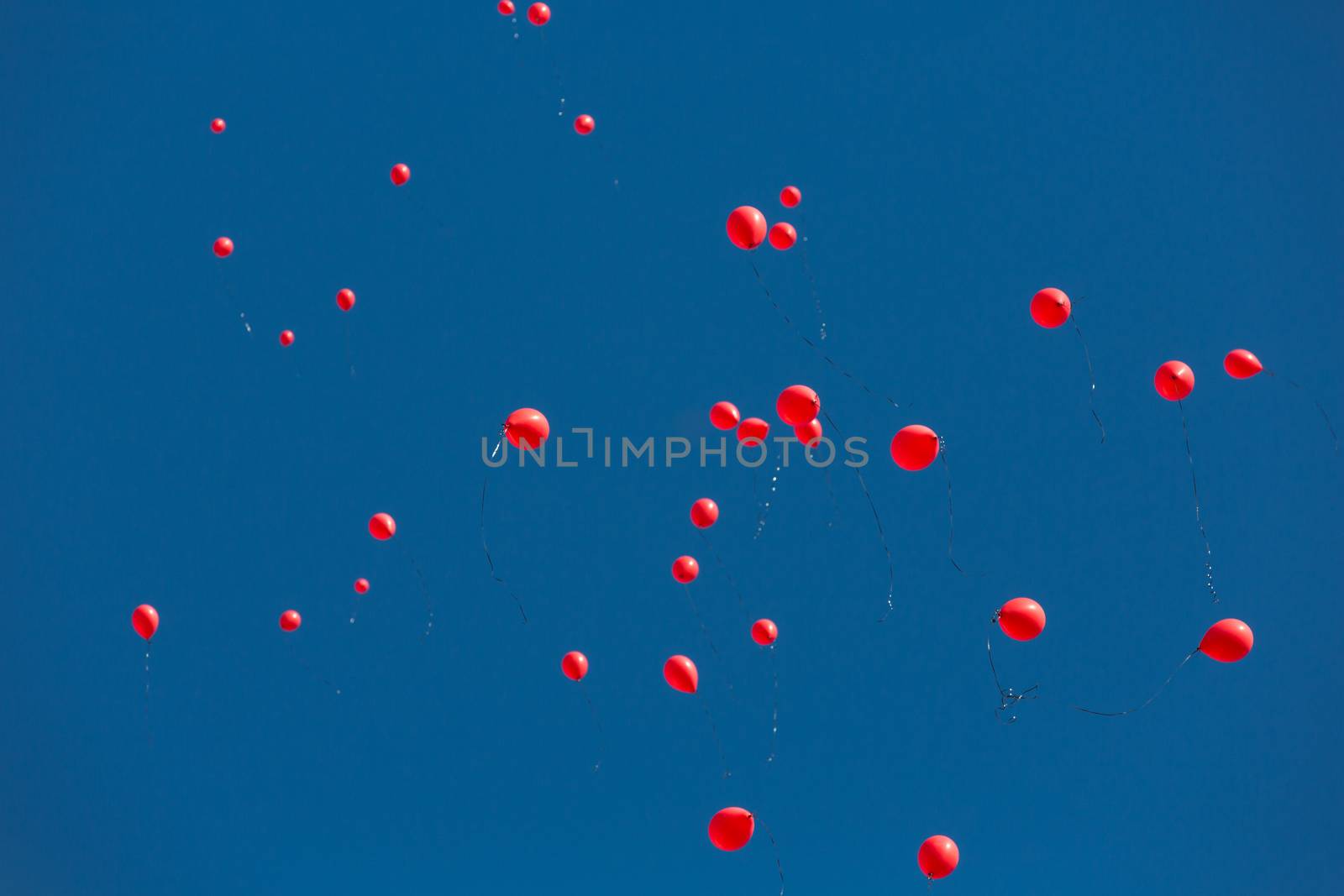 TUCSON, AZ/USA - OCTOBER 12:  Balloons released as part of AIDSwalk event on October 12, 2014 in Tucson, Arizona, USA.