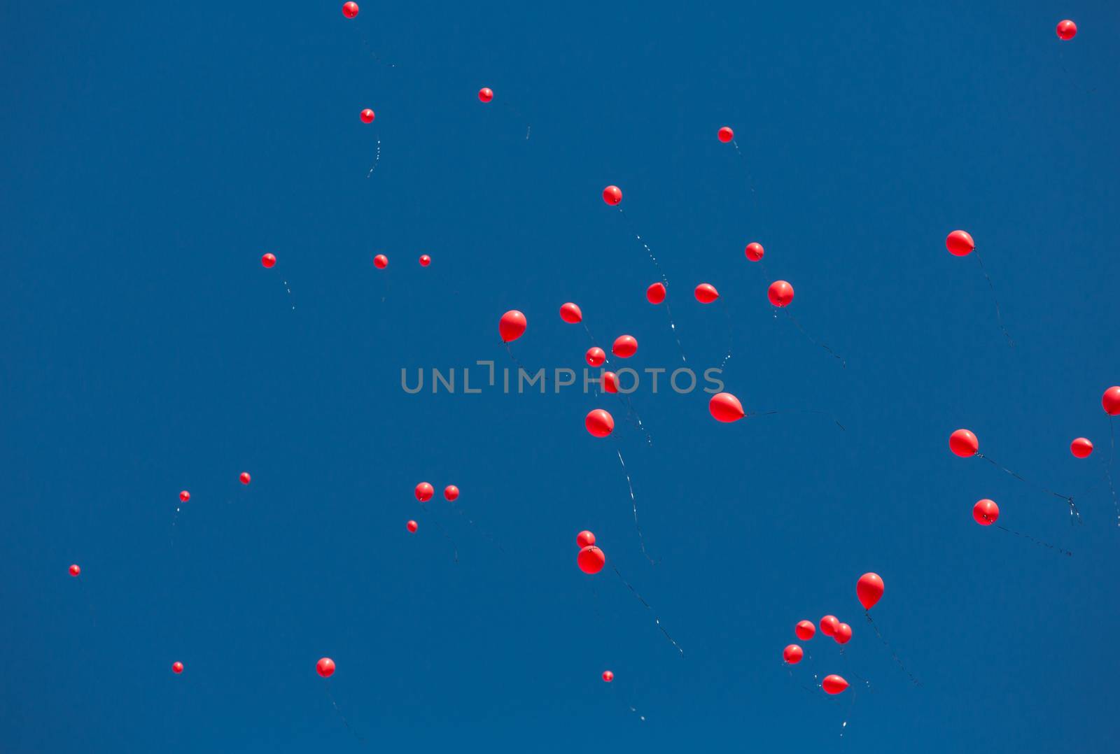 TUCSON, AZ/USA - OCTOBER 12:  Balloons released as part of AIDSwalk event on October 12, 2014 in Tucson, Arizona, USA.