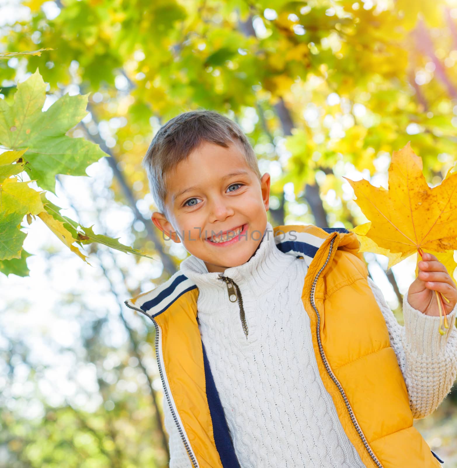 Portrait of Adorable cute girl with autumn leaves in the beauty park