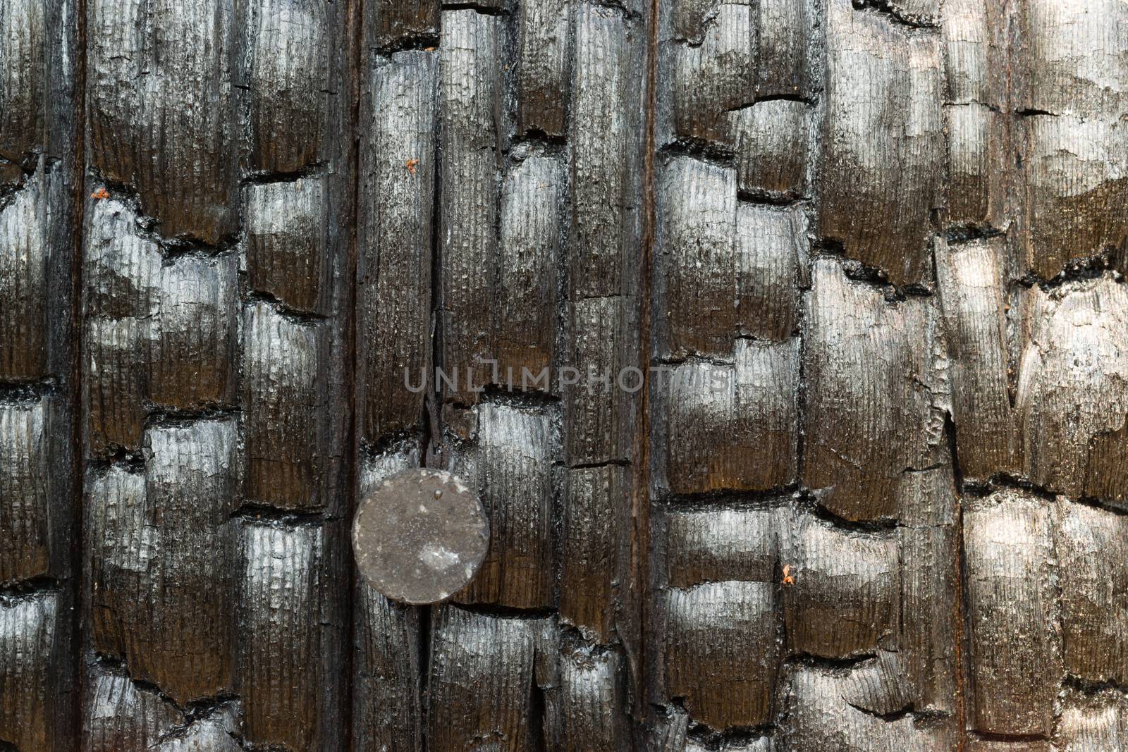 Burned Wood Fencepost Rusty Nail Charred Lumber by ChrisBoswell