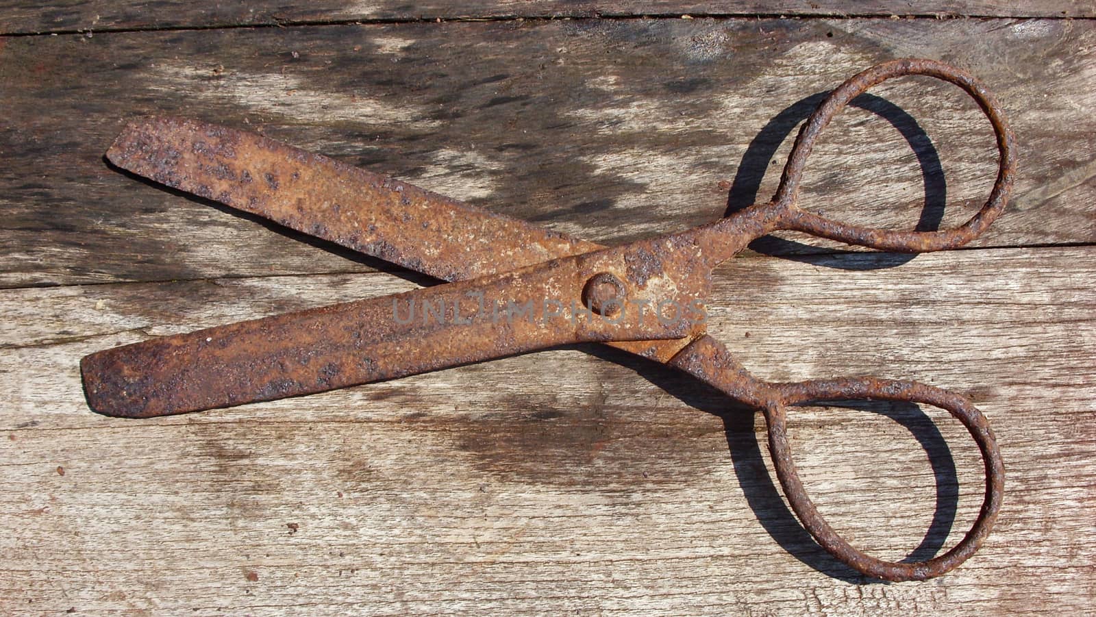 Old rusty scissors on wooden background