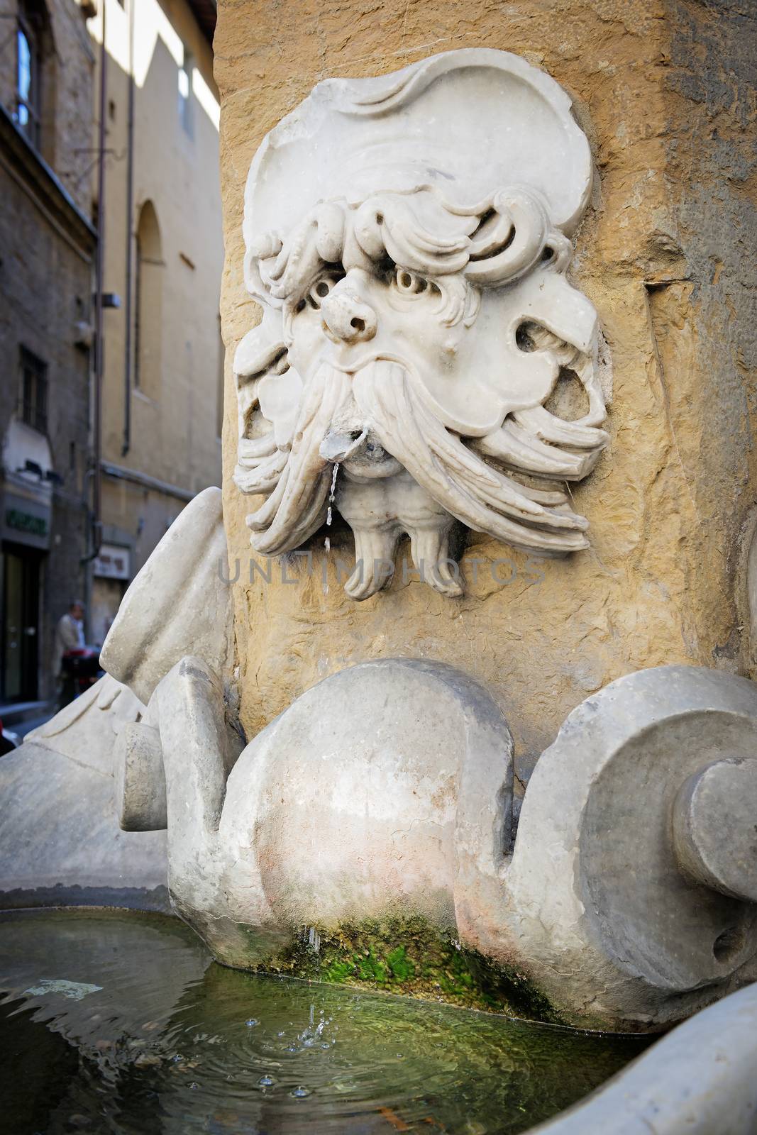 Image of fountain of Buontalenti in Florence