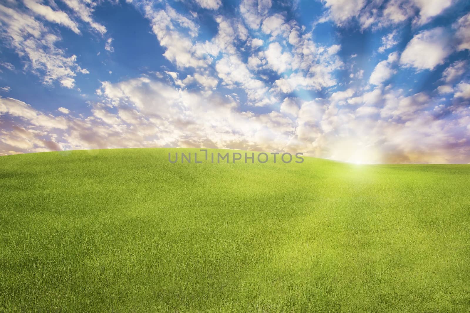 Picture of green hills with sunflares