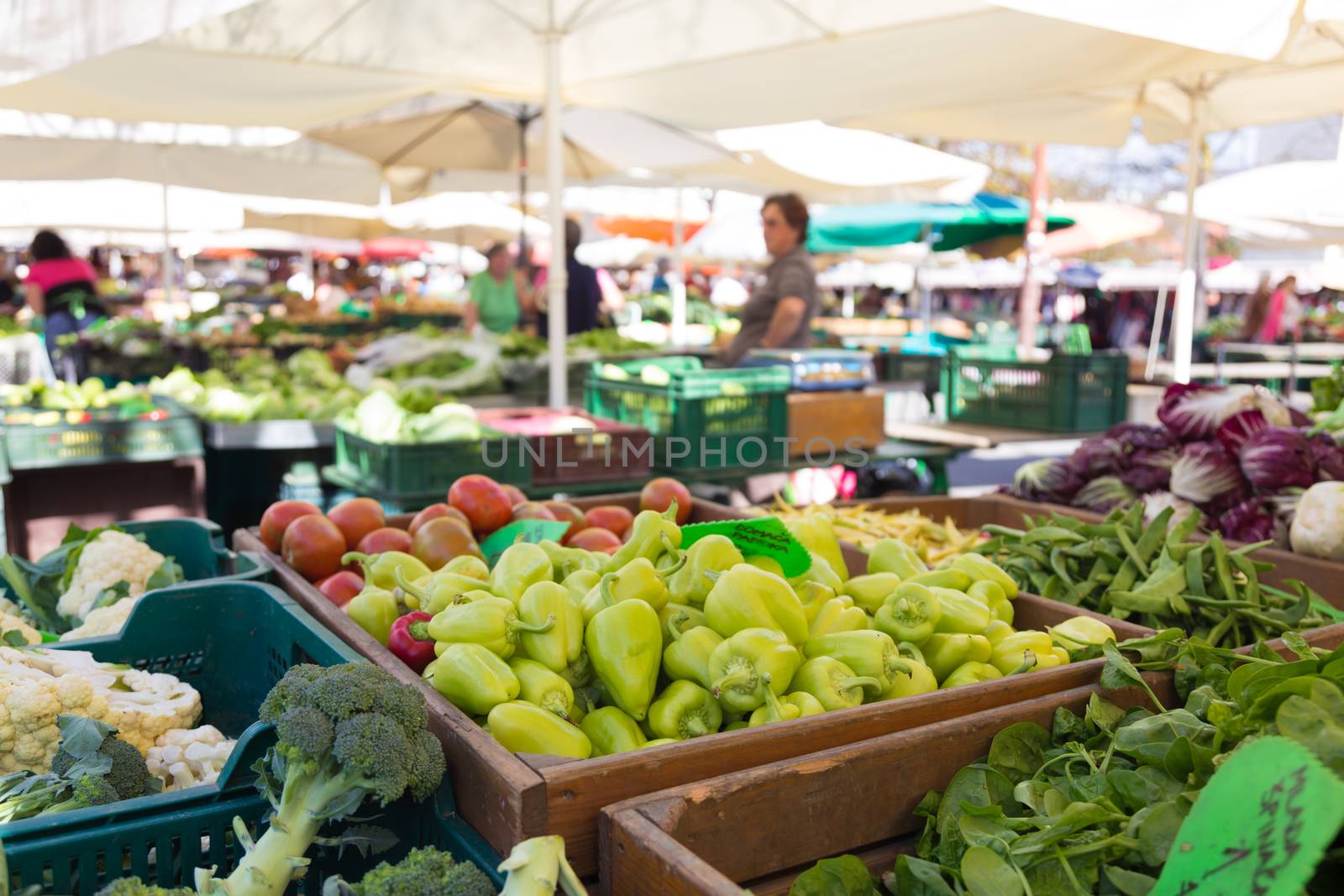 Market stall with variety of organic vegetable.