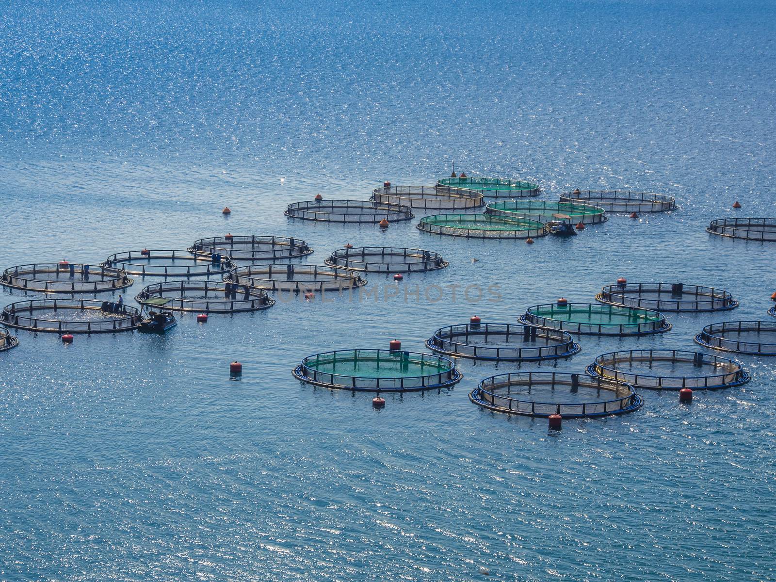 Fish farming off the coast of Greece