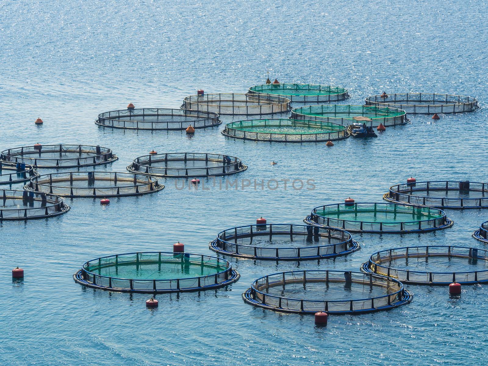 Fish farm by f/2sumicron