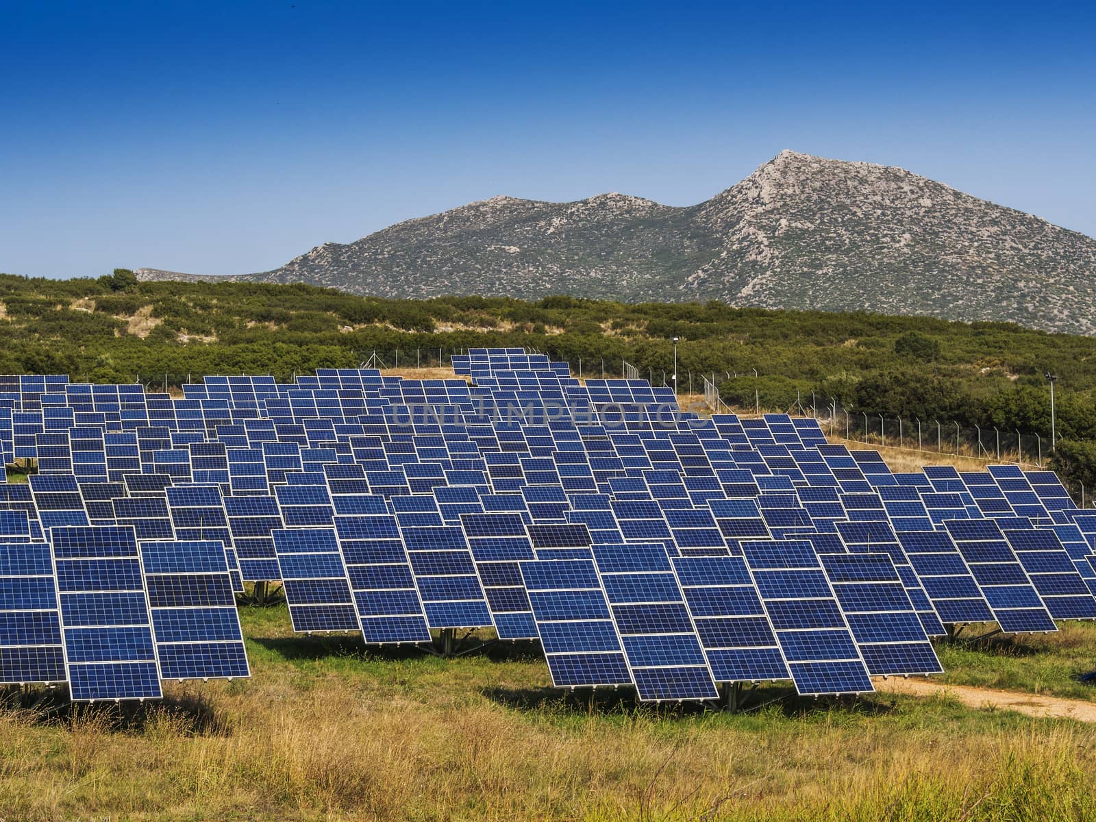 Solar panels in open field for good sun orientation