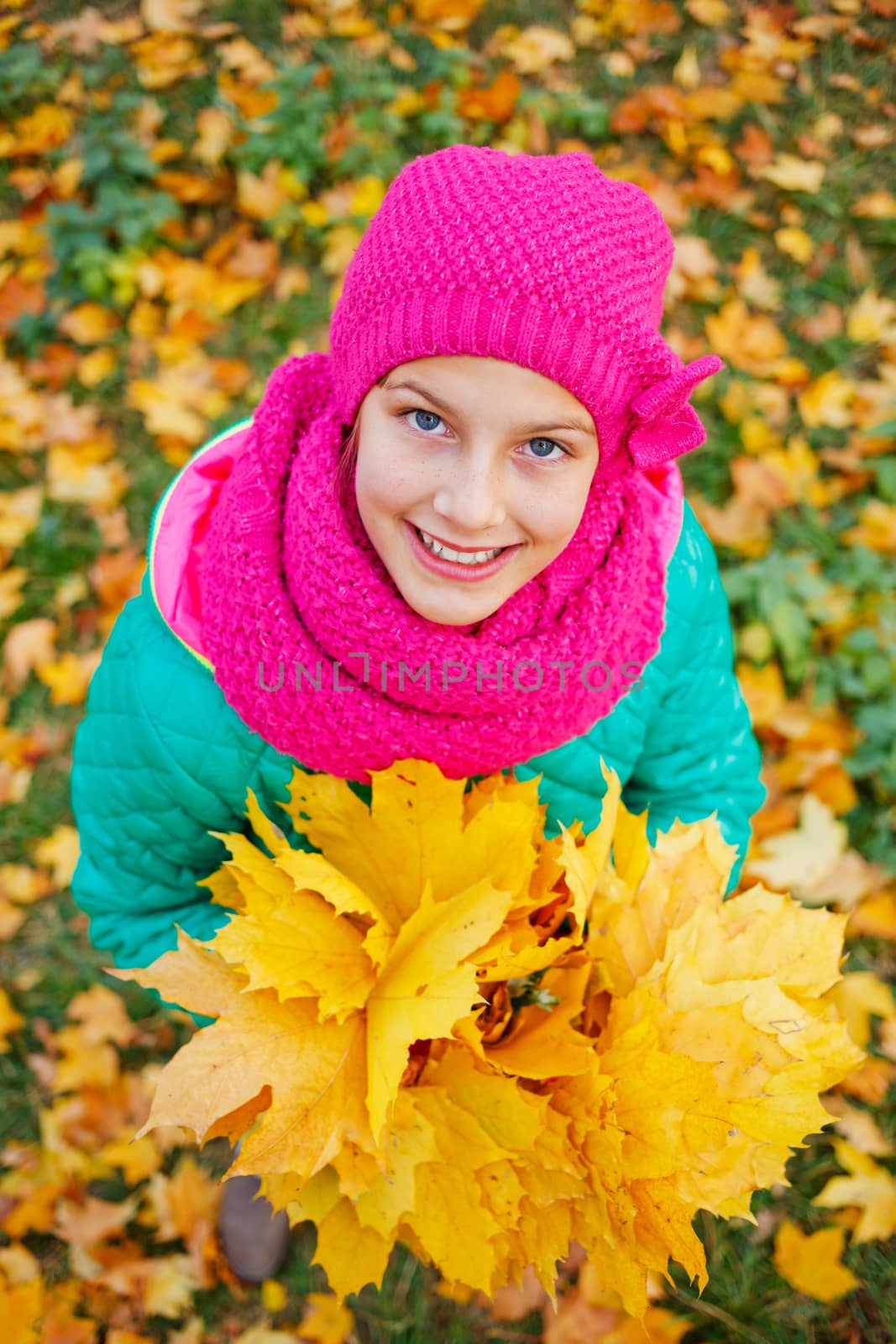 Portrait of Adorable cute girl with autumn leaves in the beauty park