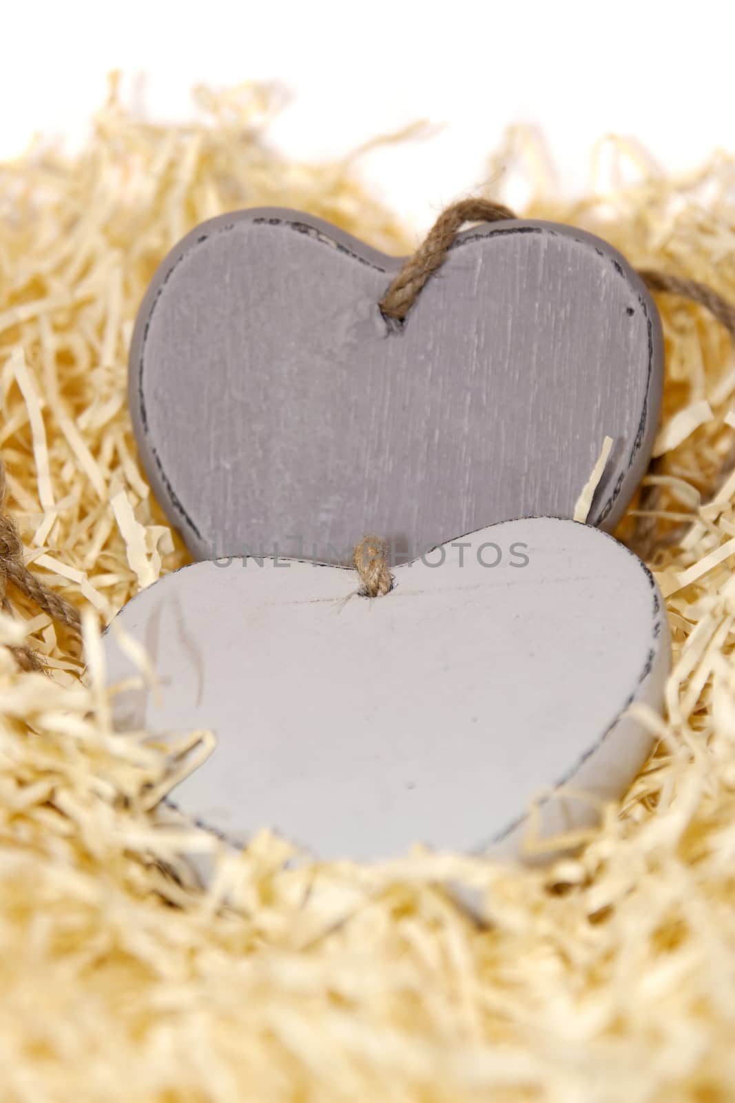 two blank grey wooden love hearts in a love nest made of straw with copy space