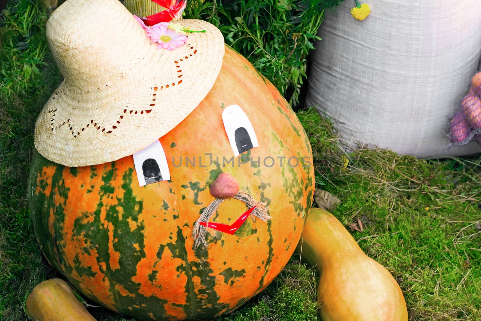 Large ripe pumpkin  under an amusing figure in a straw hat