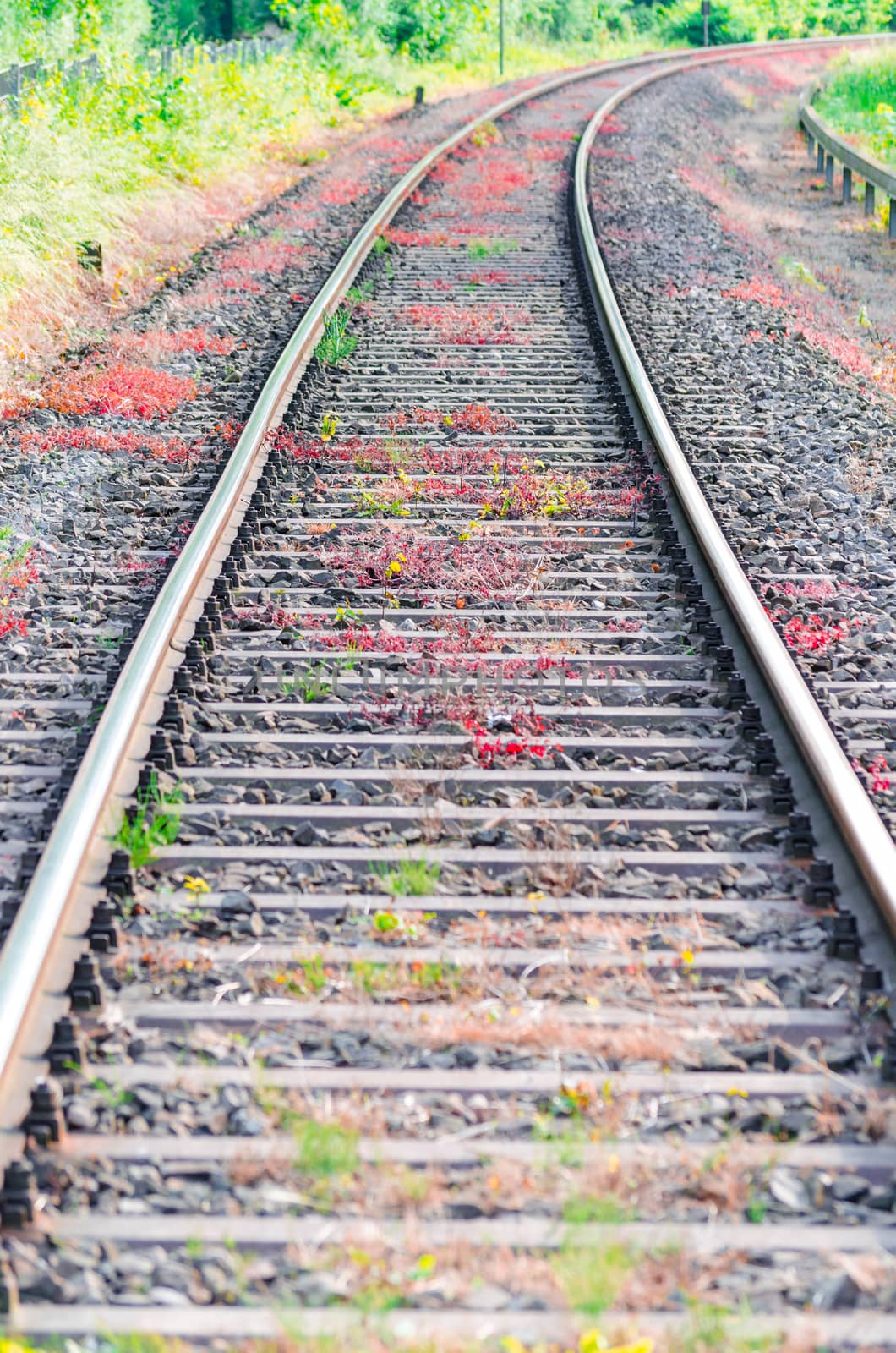 View on railroad tracks, track with a colorful plantings.
