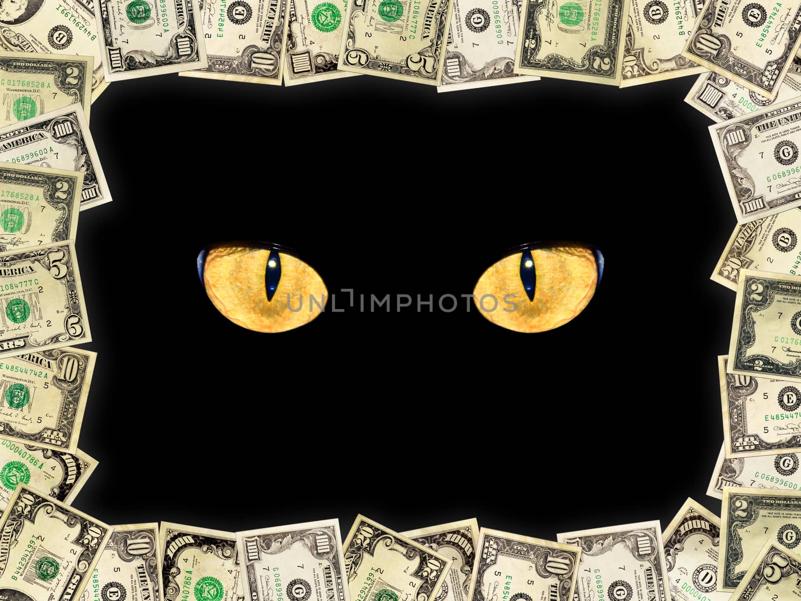 Frame from dollars and cat's eyes in the darkness by alexmak