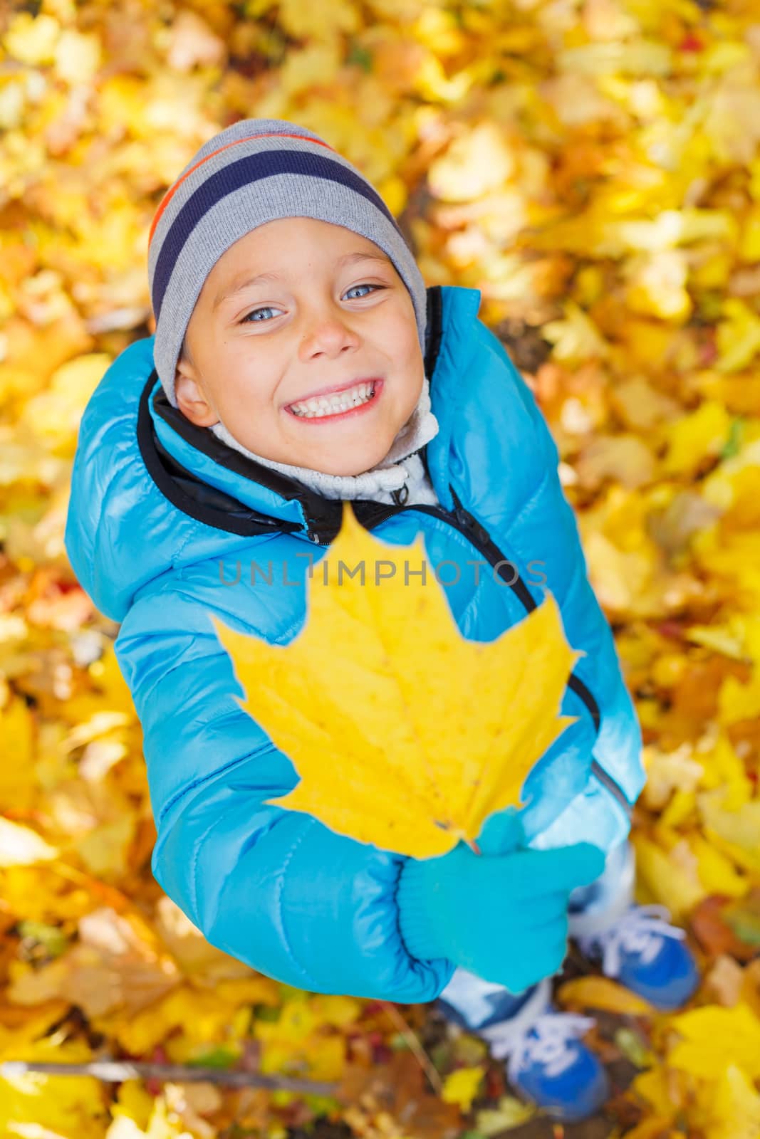 Portrait of Adorable cute boy with autumn leaves in the beauty park