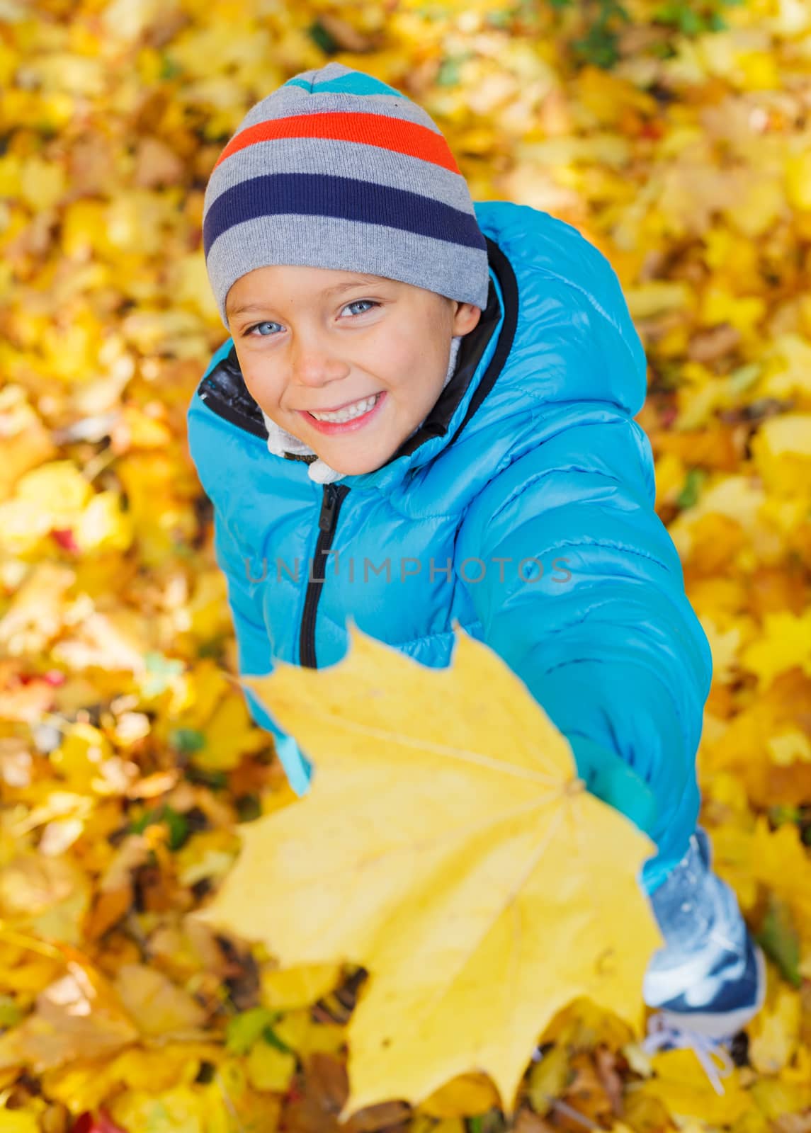 Portrait of Adorable cute boy with autumn leaves in the beauty park