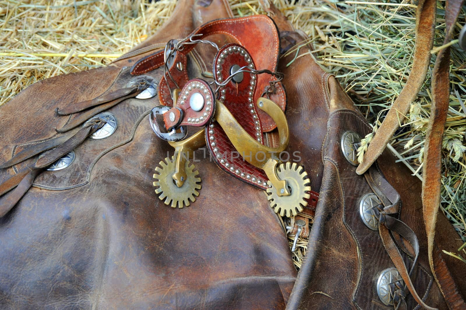 Western gear displayed inside a barn.