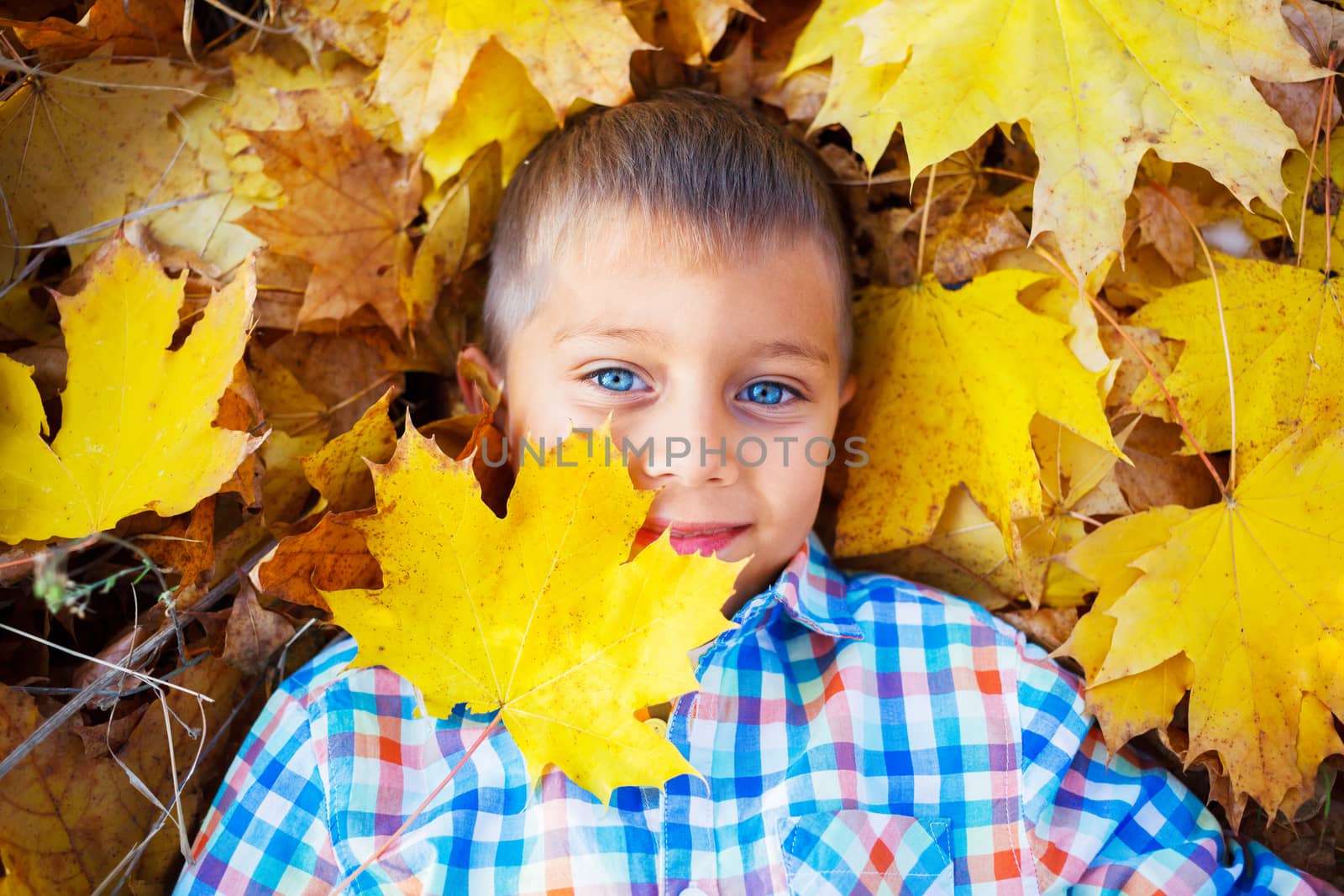Portrait of Adorable cute boy lying on leaves in the beautiful  autumn park