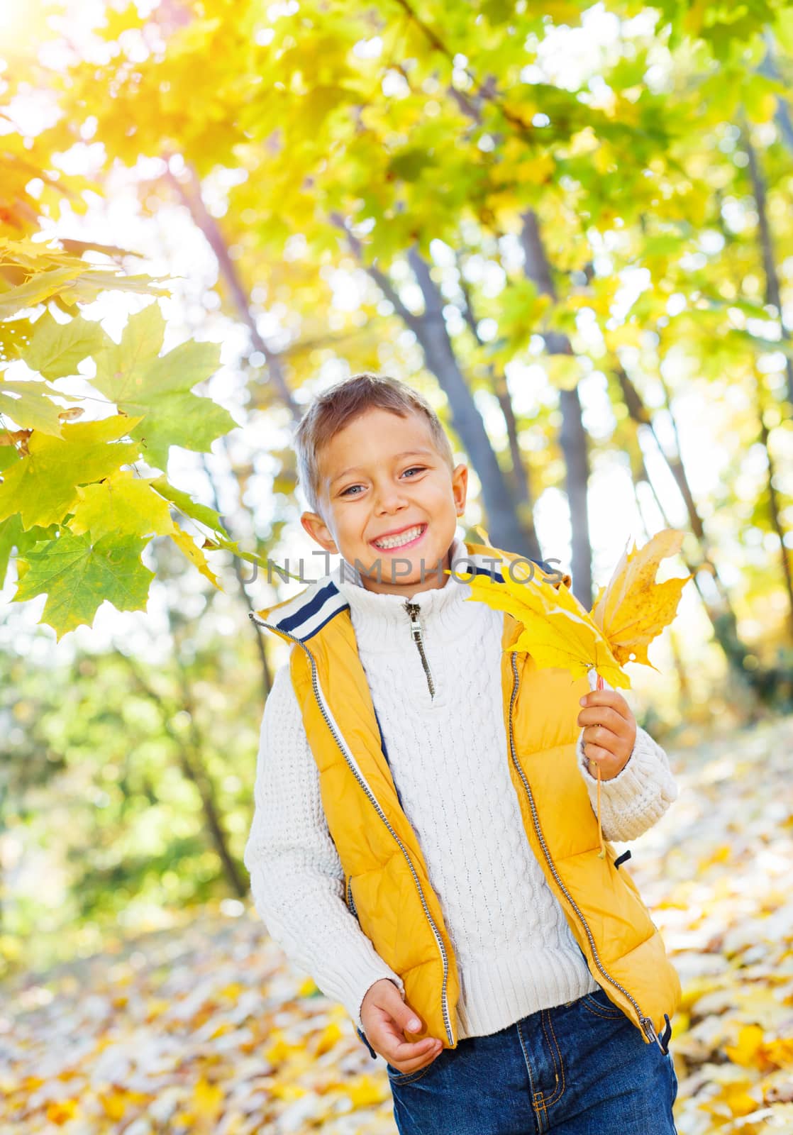 Portrait of Adorable cute boy with autumn leaves in the beauty park