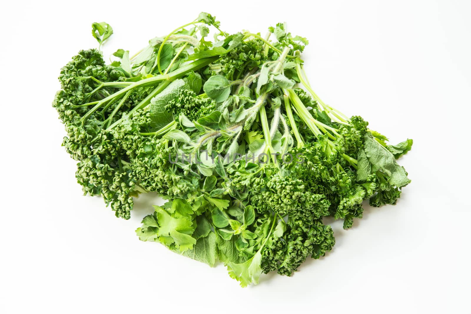 Kitchen herbs on a white background.