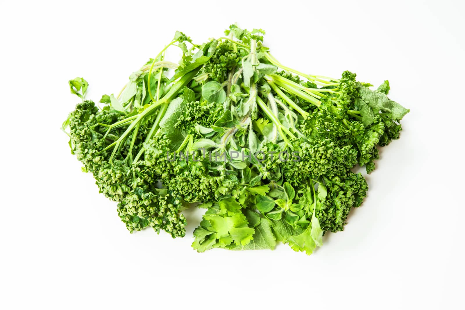 Kitchen herbs on a white background.