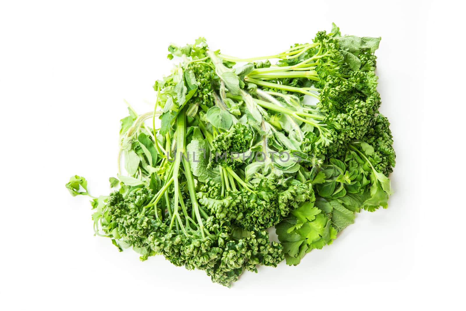 Kitchen herbs on a white background.