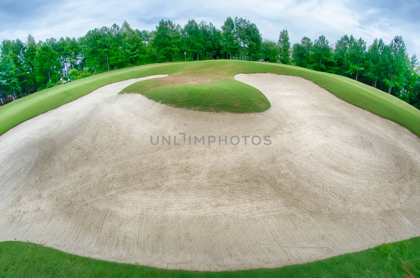 green grass of the golf course surrounded by autumnal forest by digidreamgrafix