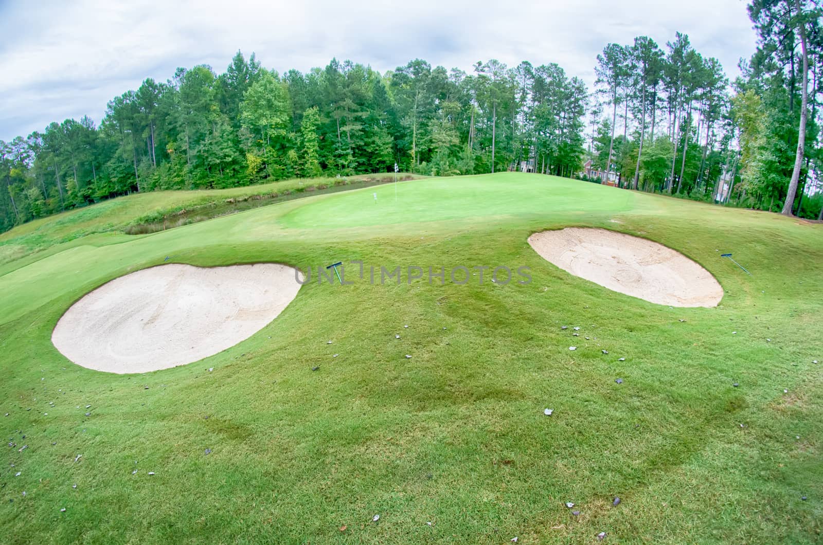 green grass of the golf course surrounded by autumnal forest by digidreamgrafix