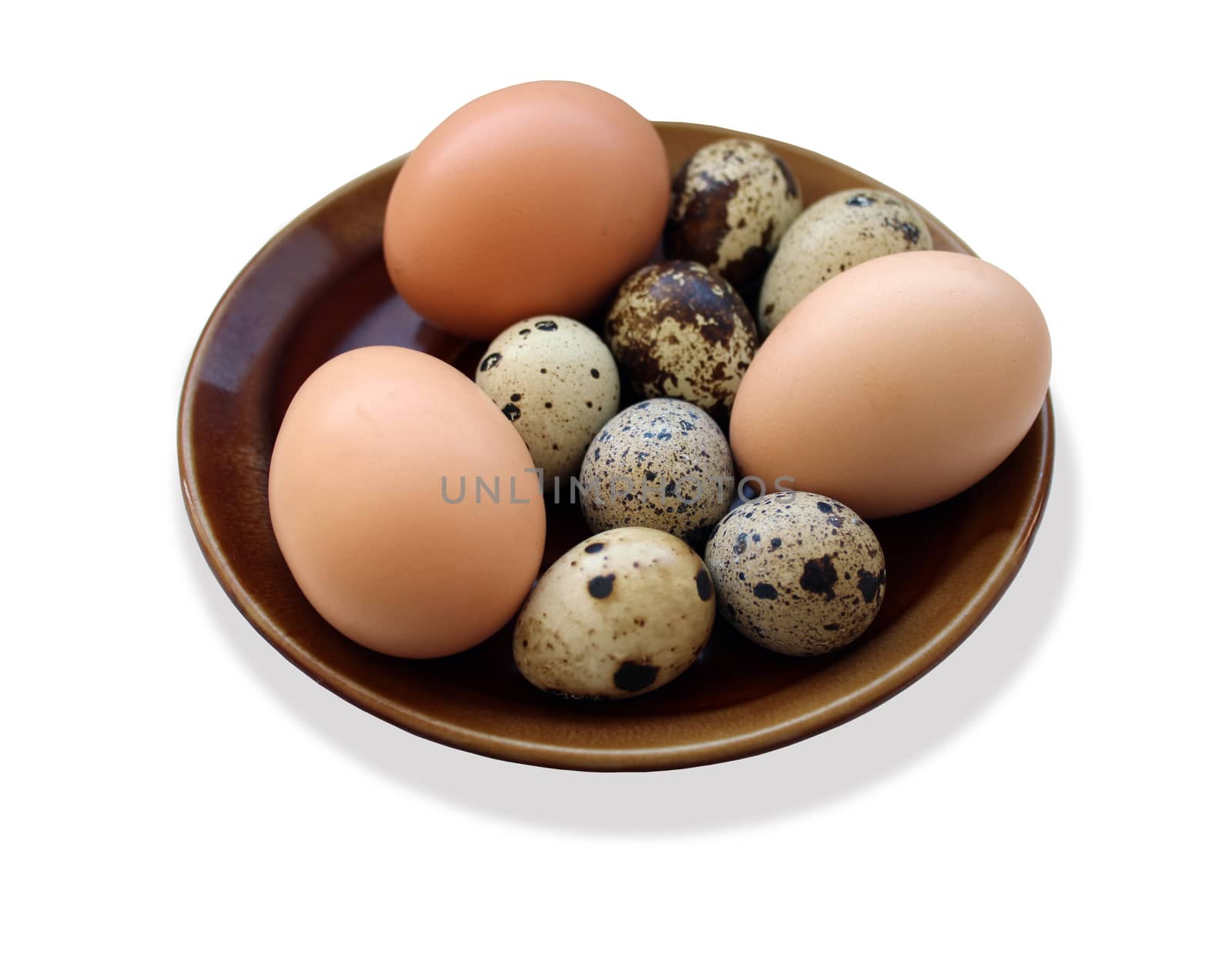 eggs of the quail and three of the hen on the plate isolated on the white background