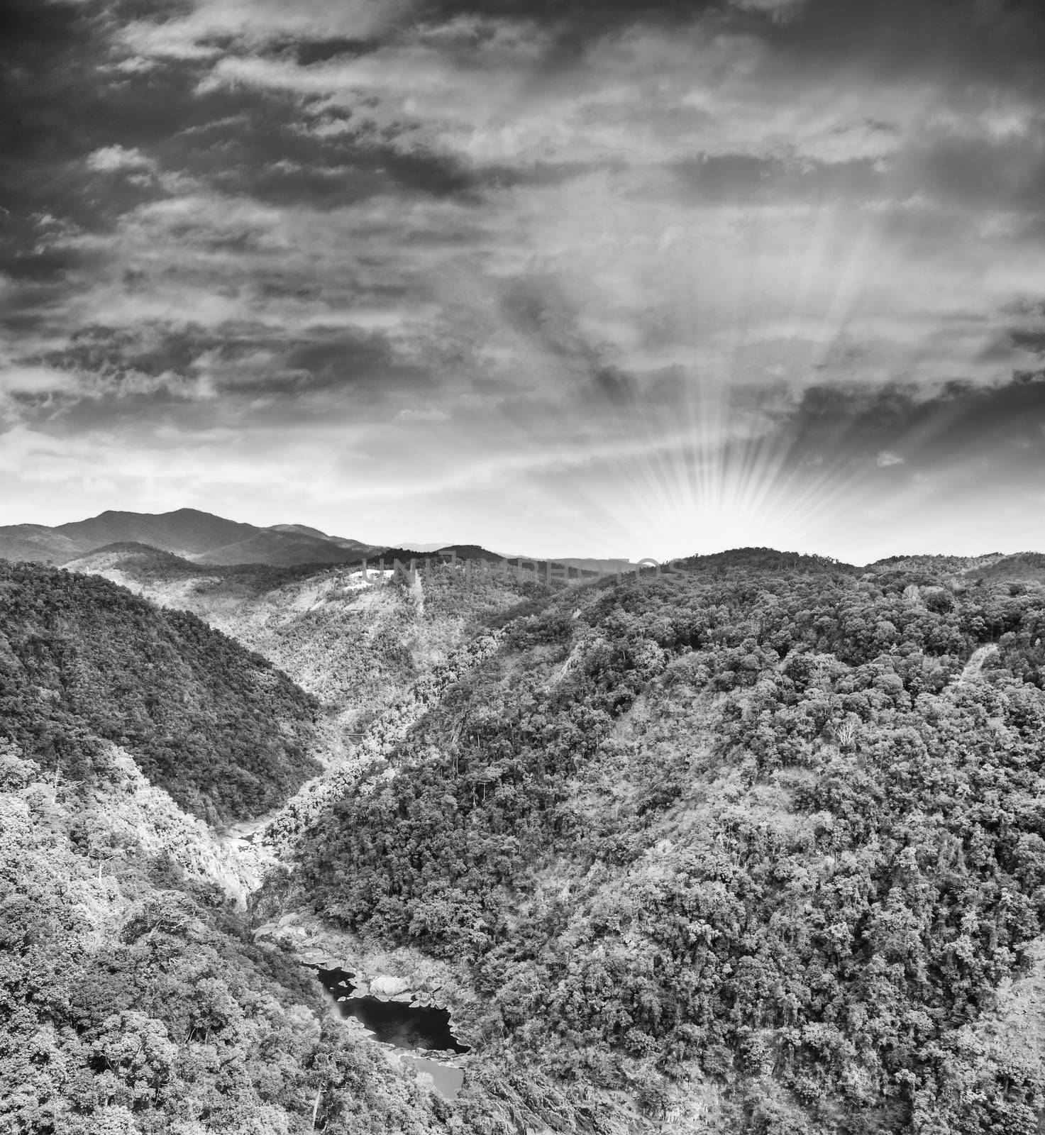 Daintree rain forest at sunset - Australia by jovannig