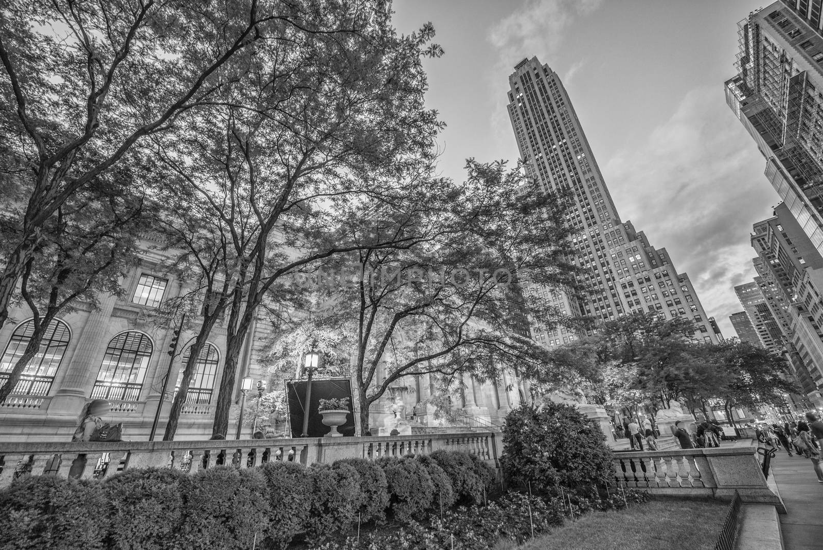 New York Skyscrapers on 5th Avenue, Next to the Public Library by jovannig