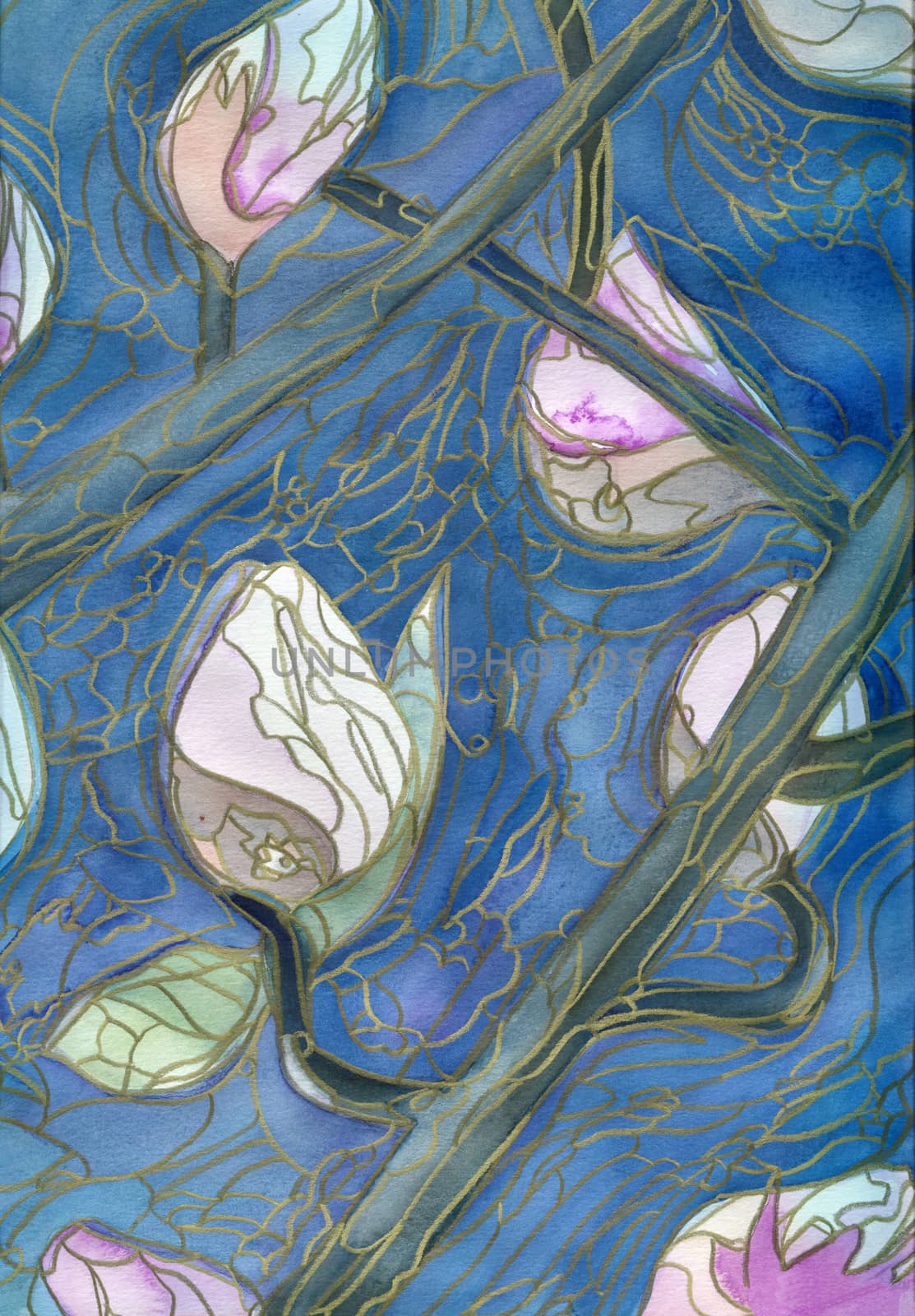 Magnolia buds. Scanned original watercolor painting with contours in gold pen. 