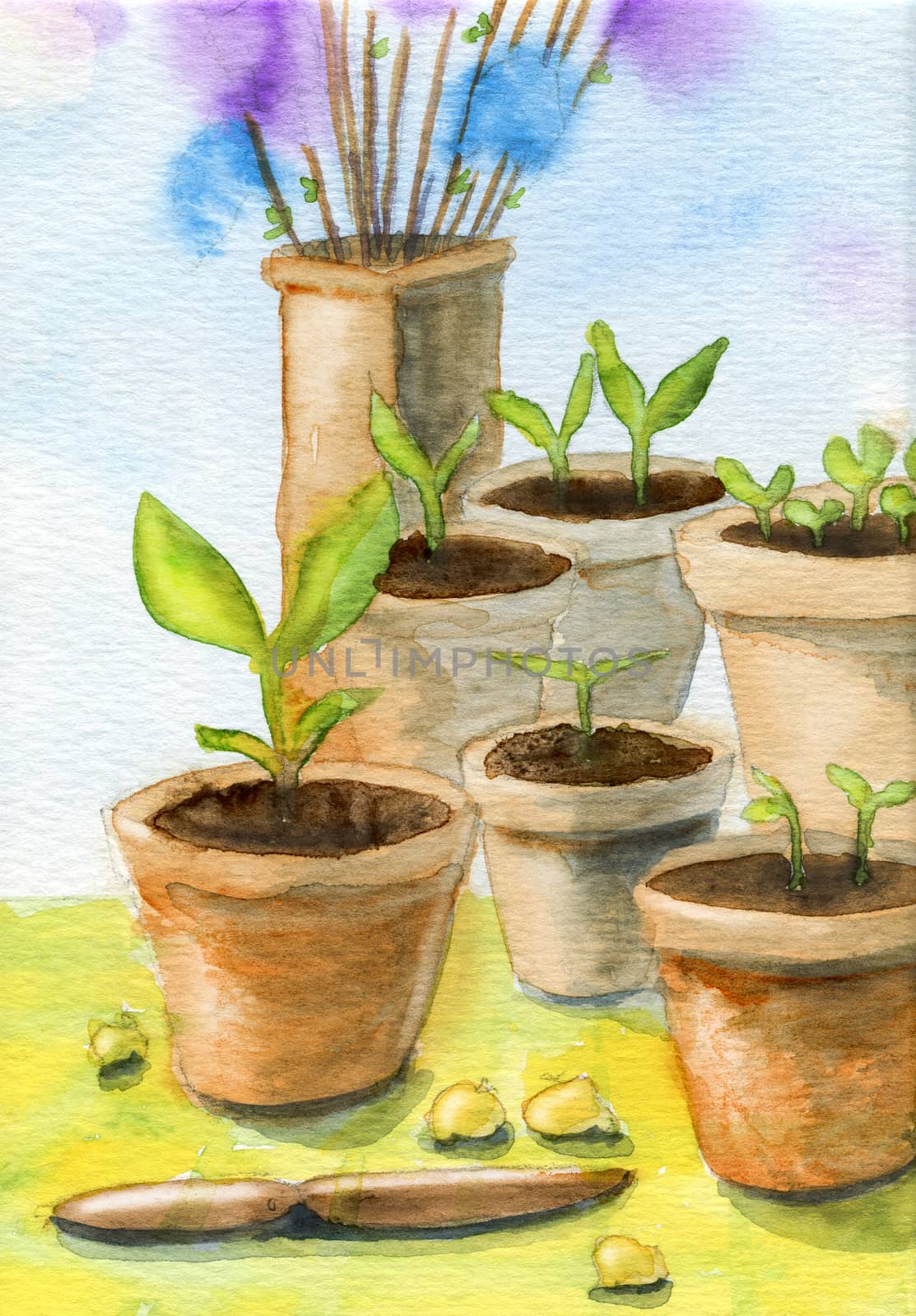 Garden pots, plants and easter feathers. Original gouache and watercolor painting. 