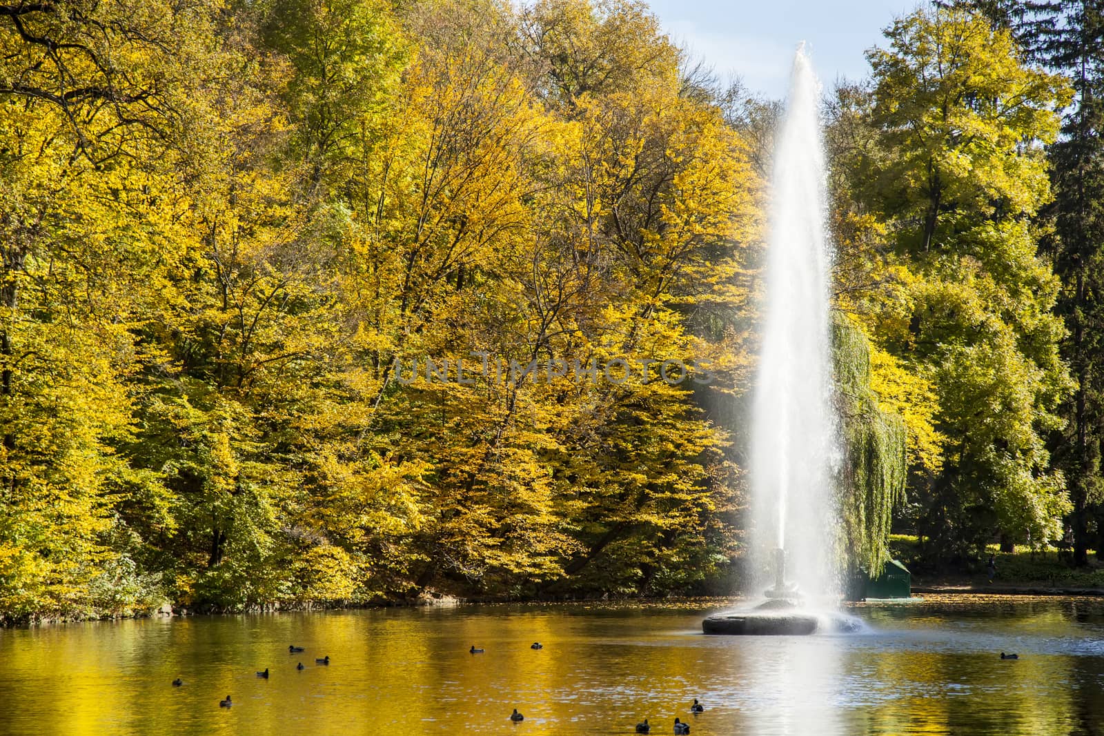 The Snake fountain in Sofiyivsky Park in autumn by RawGroup