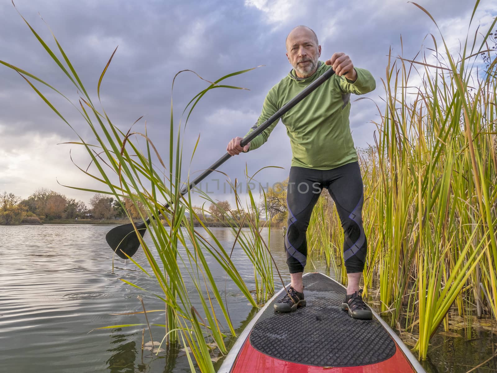 stand up paddling on a lake by PixelsAway