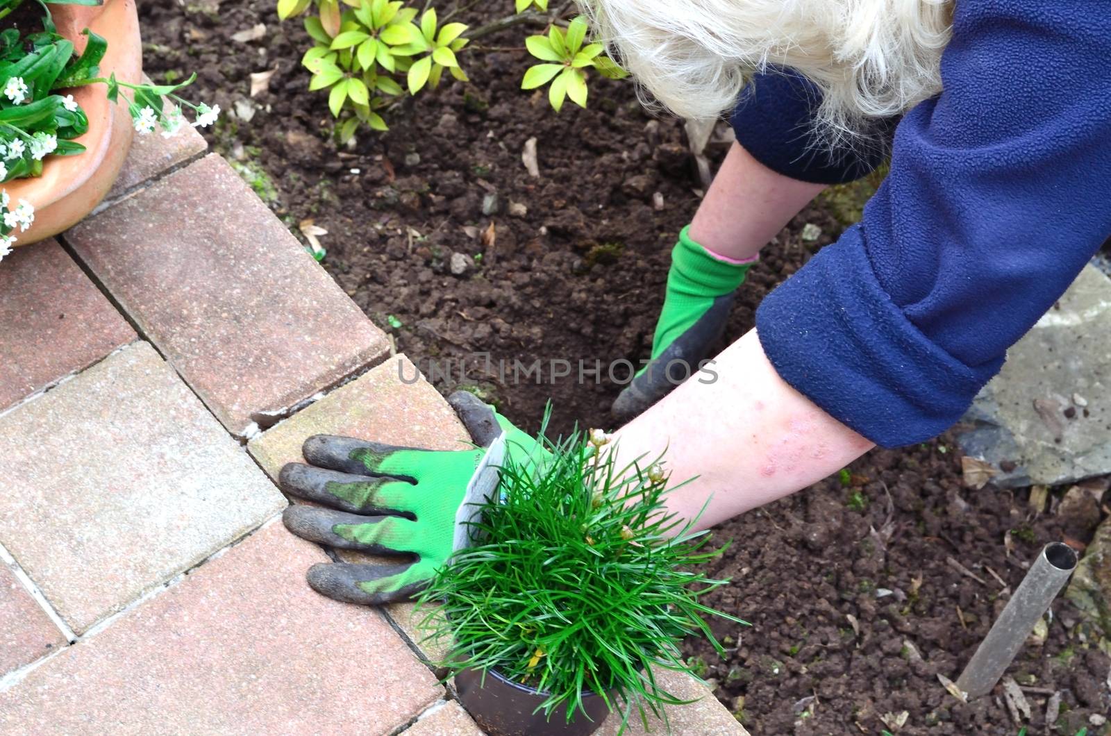 Woman working in the garden