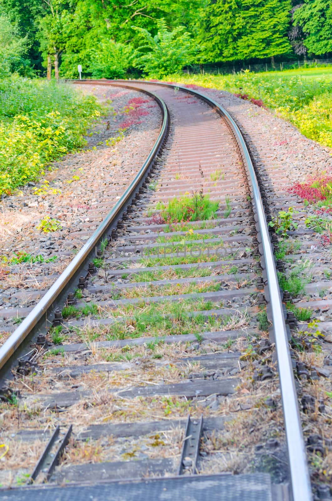 View on railroad tracks, track with a colorful plantings.