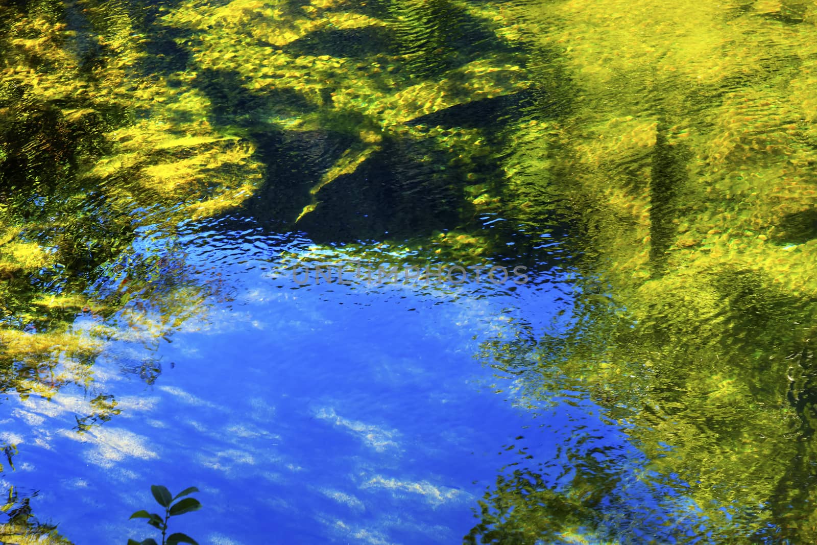 Summer Blue Green Colors Water Reflection Abstract Wenatchee River Washington by bill_perry