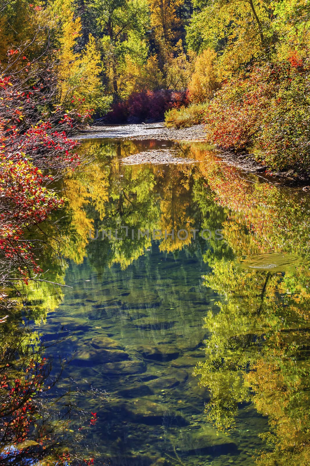 Fall Colors Reflection Wenatchee River Reflections Stevens Pass Leavenworth Washington