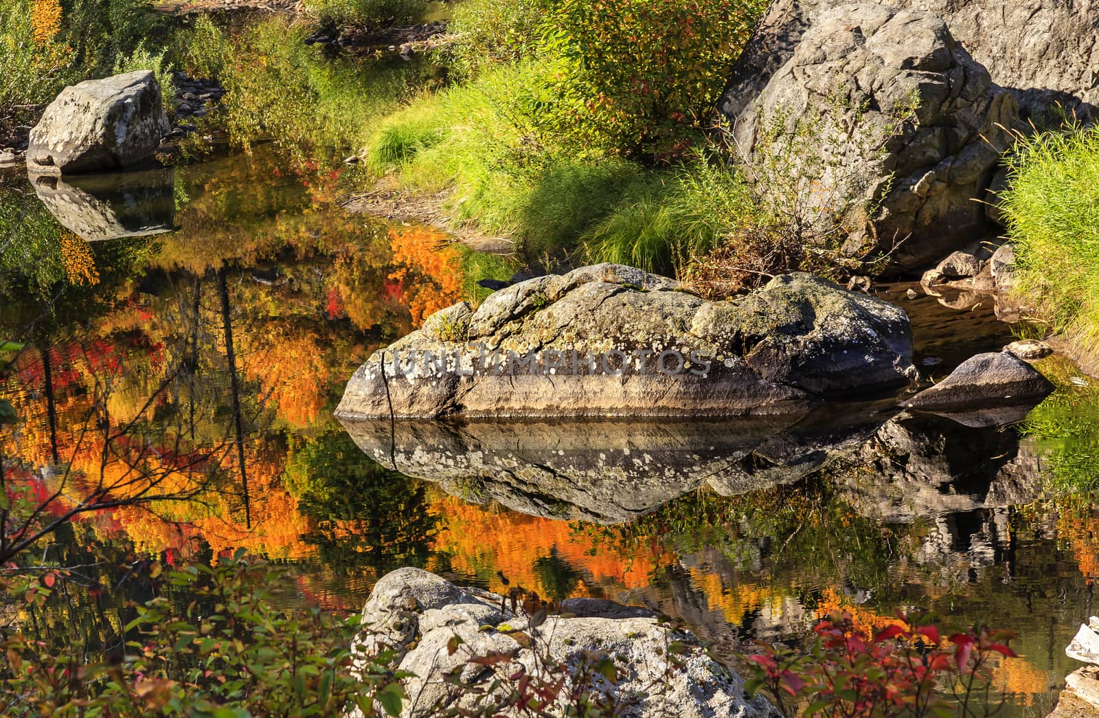 Fall Fire Orange Red Colors Reflection Wenatchee River Washington by bill_perry