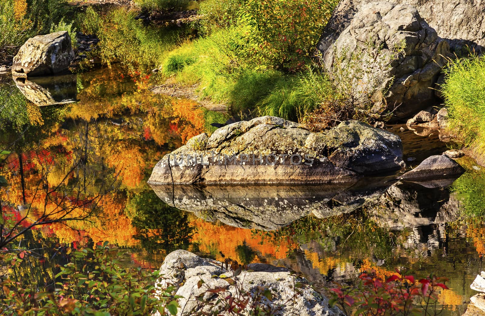 Fall Colors Orange Fire Reflection Wenatchee River Washington by bill_perry