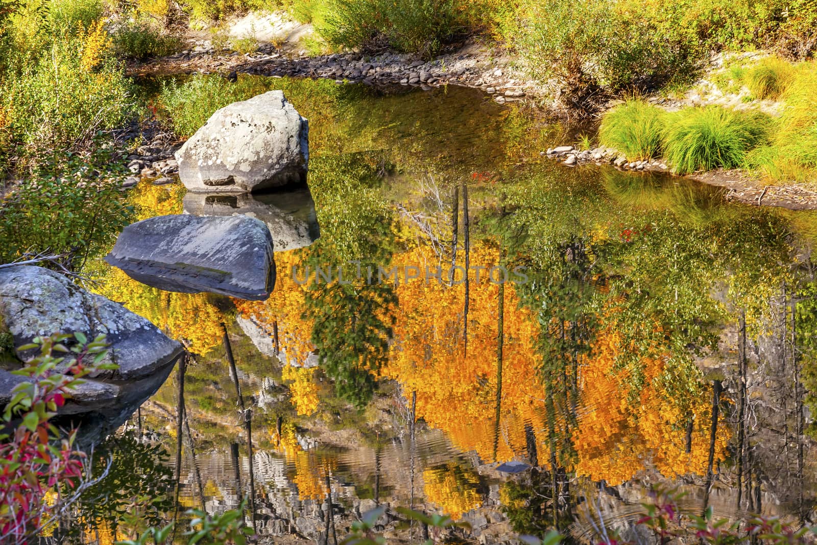 Fall Colors Fire Reflection Wenatchee River Valley Washington by bill_perry