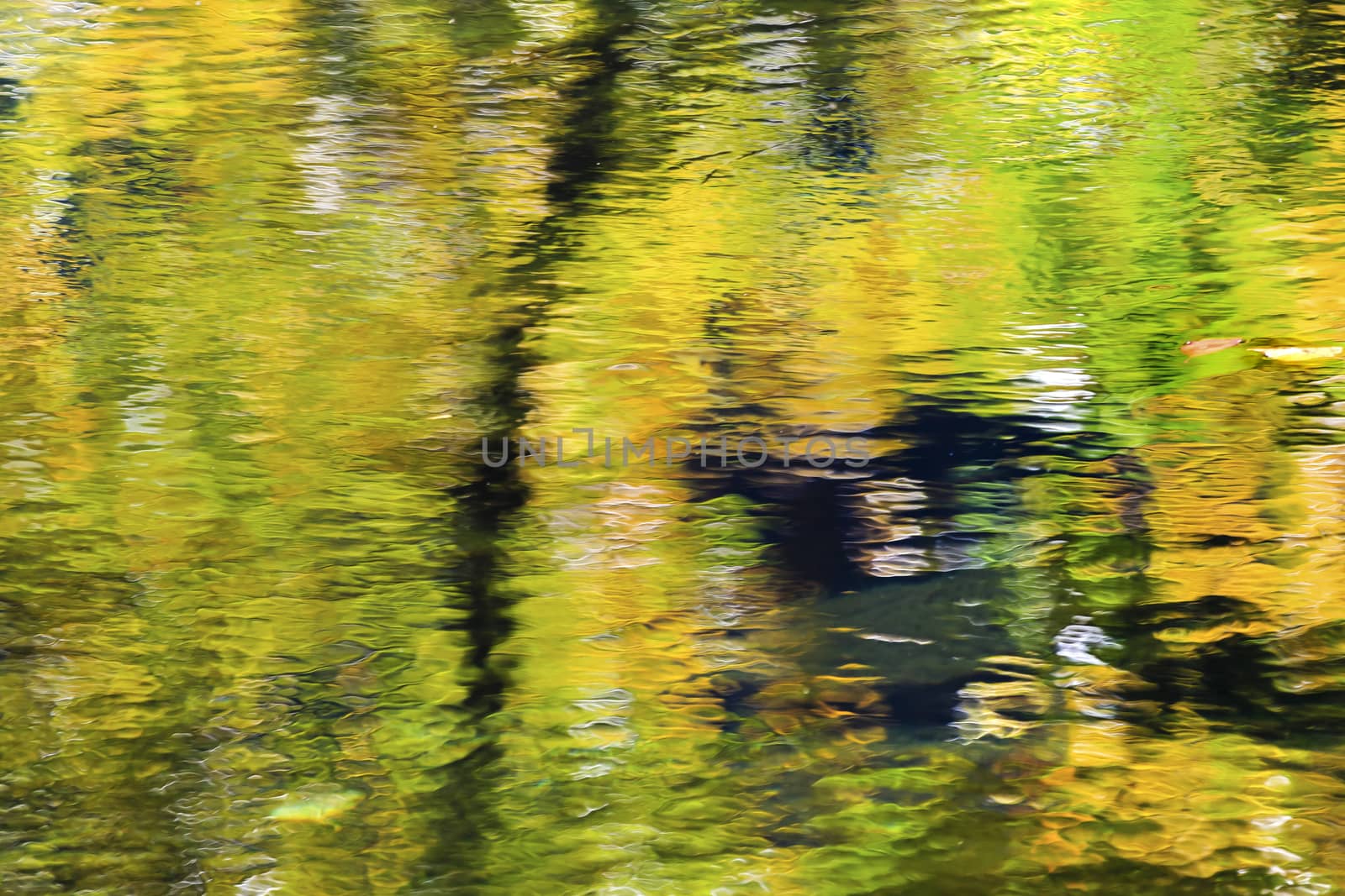 Fall Colors Reflection Abstract Wenatchee River Washington by bill_perry