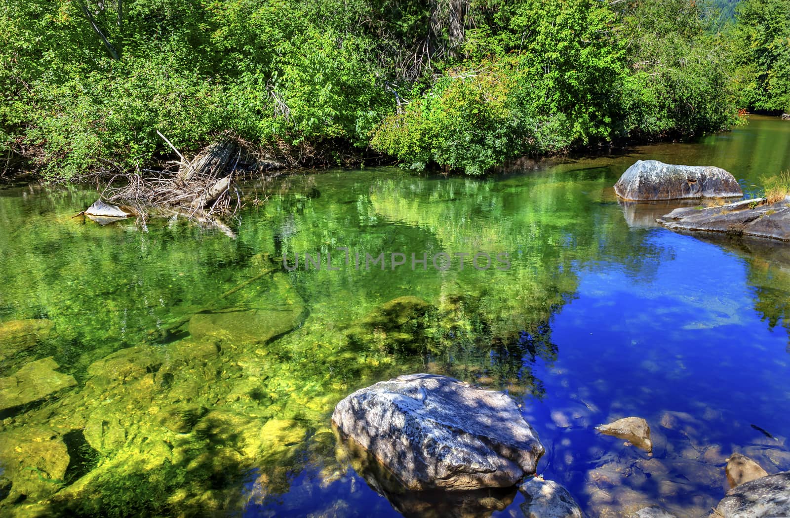 Summer Blue Green Colors Reflection Wenatchee River Washington by bill_perry